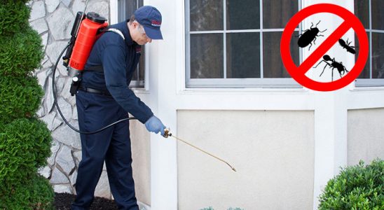 Patnos Karınca İlaçlama böcek ilaçlama ve haşere kontrolü — ilaclama-tr.com